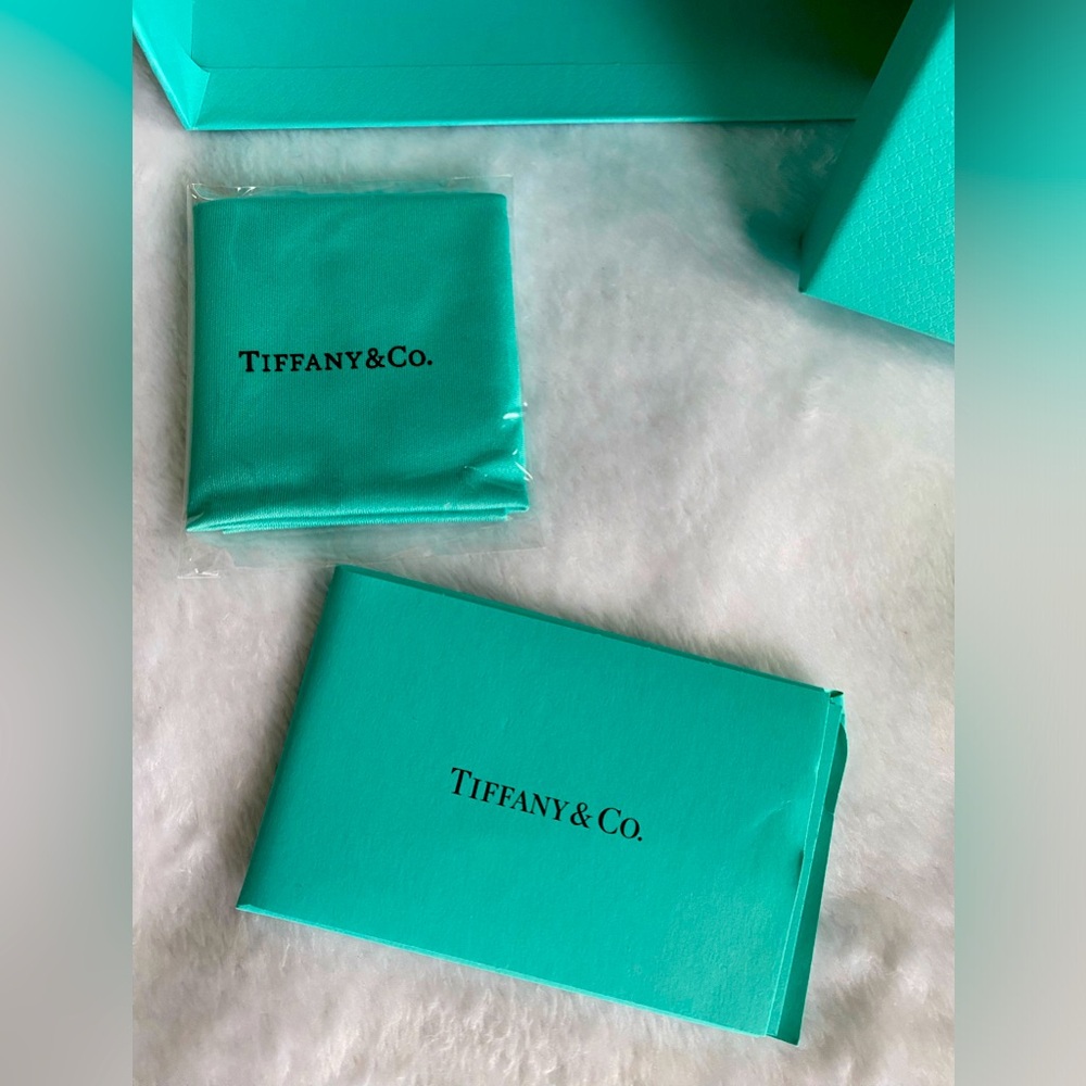 Tiffany Hard Shell Case & Box - Picture 4 of 4